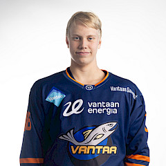 Ville-Veikko Väisänen