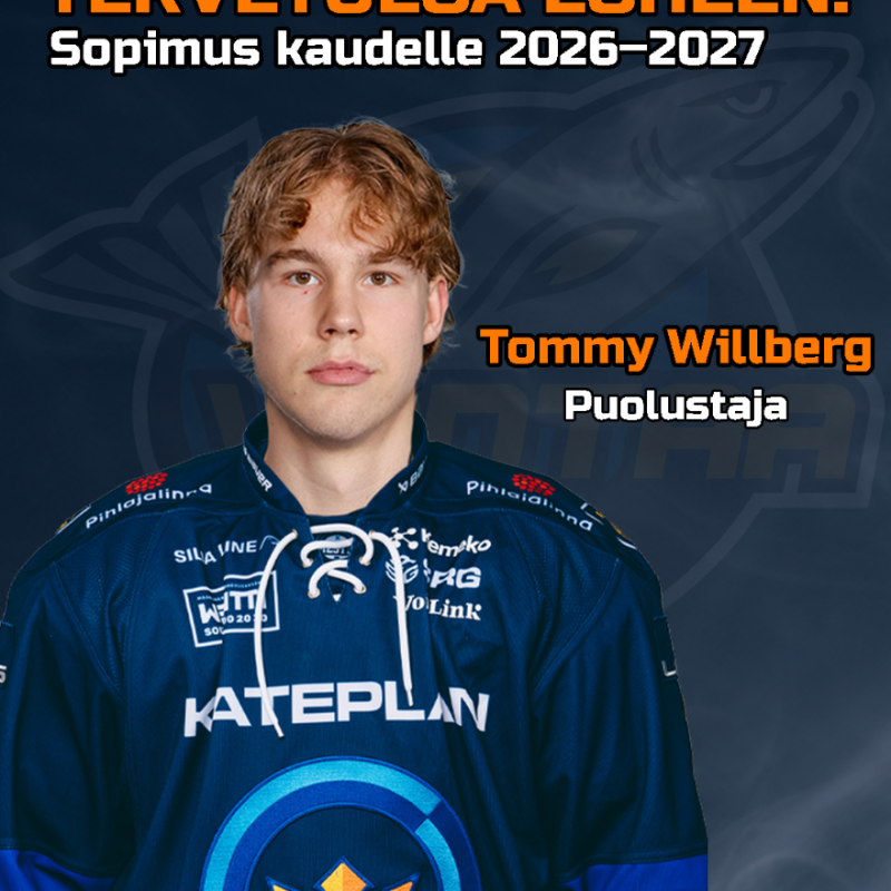 Tommy Willberg lohipaitaan kaudella 26–27